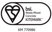 BSI large logo